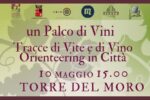 Un Palco di Vini: Orienteering tra Storia e Calici a Orvieto il 10 Maggio 2025