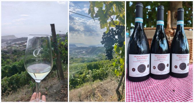La vendemmia 2026 delle Cantine Federiciane a Vigna Cigliano